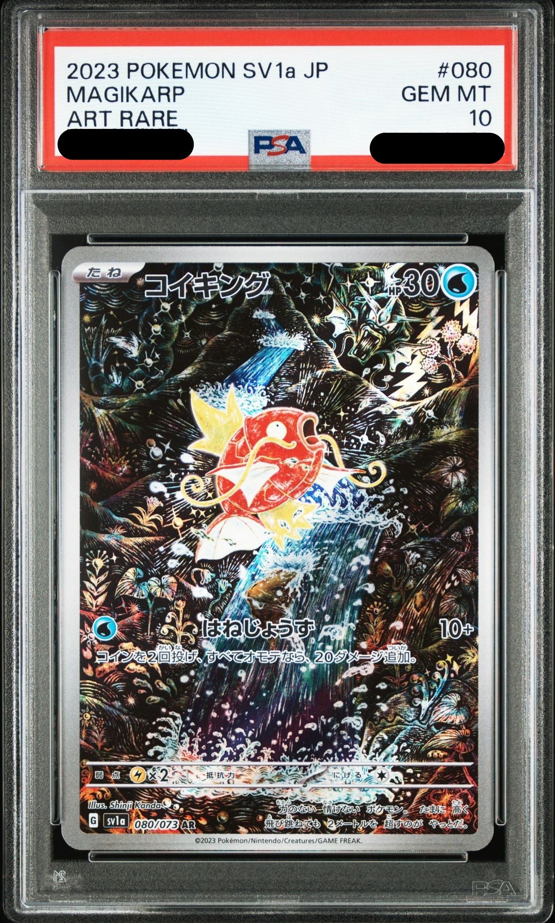 〔PSA10鑑定済〕コイキング（AR）｛080/073｝